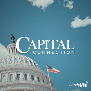 Capital Connection_logo