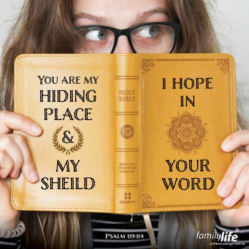 Thursday, February 27, 2025
Psalm 119:114
You are my hiding place and my shield; I hope in your word.In a world filled with people telling you what you should think, what you should wear, and what you should believe, it’s nice to have a place to hide in safety. God gives us a place to go when the world is simply too much to handle. Take solace in His word and remember the truth of what you believe so that when the world tries to convince you to change, you can stand on the Rock of your salvation.