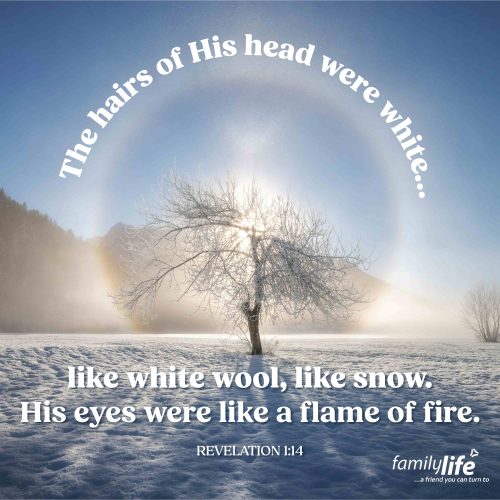 Wednesday, March 5, 2025
Revelation 1:14
The hairs of His head were white, like white wool, like snow. His eyes were like a flame of fire.In Daniel, He was referred to as the Ancient of Days, but in Revelation, John reveals Him as the Alpha and Omega, the beginning and the end. And He is the One that nothing is hidden from, the One whose judgments are pure and right, the One who holds all authority in heaven and on earth. And someday soon, the world will see Jesus in all His might, majesty, dominion, and power. What a day that will be!