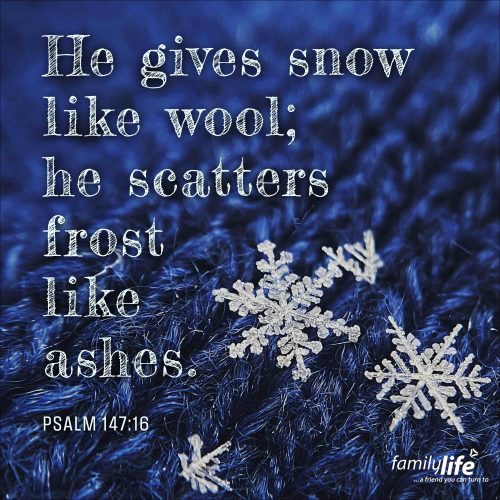 Thursday, March 6, 2025
Psalm 147:16
He gives snow like wool; he scatters frost like ashes.Have you ever watched a snowflake fall onto your hand and then quickly turn into a little drop of water? It seems so small and insignificant. But God is the One who spoke each one of those unique, six-pointed snowflakes into existence. And if He cares about those details, you can guarantee He cares even more about you.